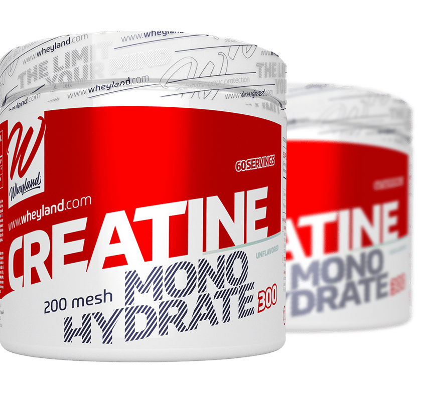 creatina monohidrato 200 mesh