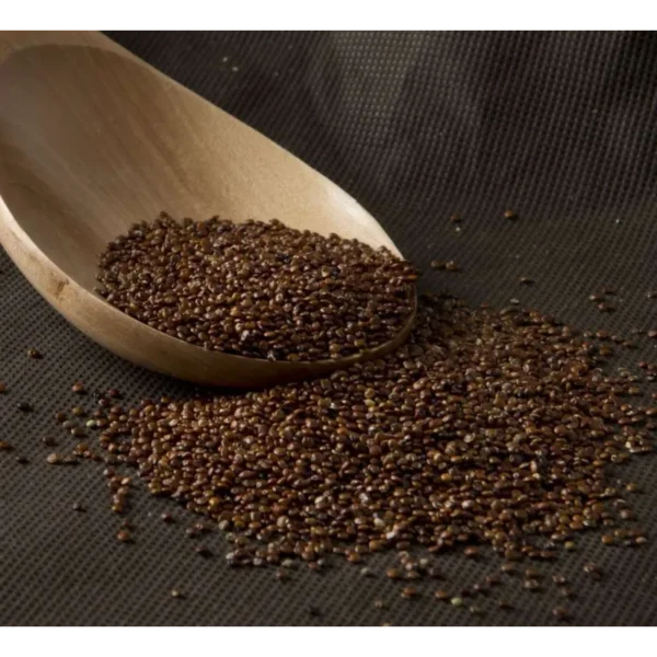 Quinoa roja100grs